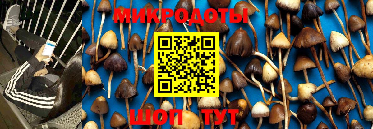 Галлюциногенные грибы GOLDEN TEACHER  где можно купить   Сосновый Бор  Вход с VPN  Галлюциногенные грибы Psilocybine cubensis 
