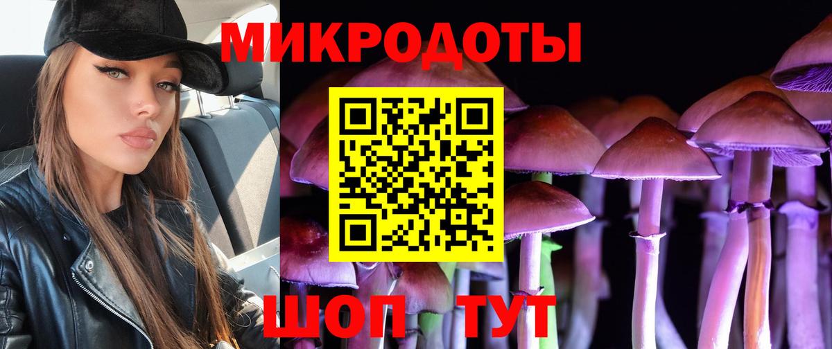 Галлюциногенные грибы ЛСД Сосновый Бор